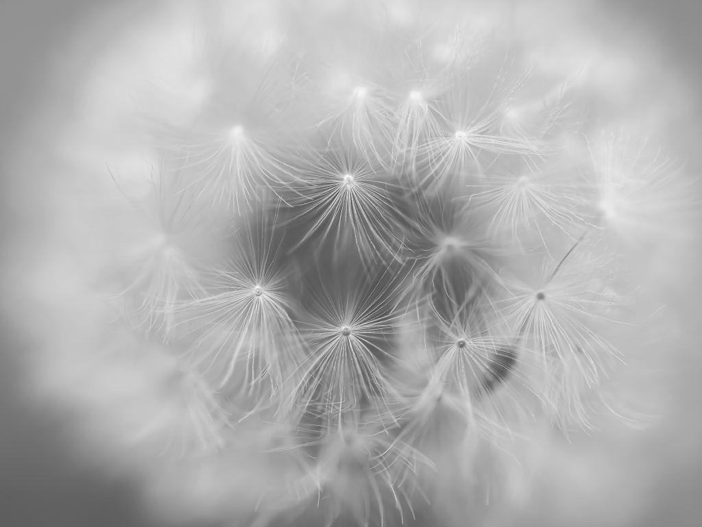 Minimalist fine art photograph – Whispers of Light by AURIN