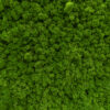 Verdant-Silence Verdant Silence – AURIN